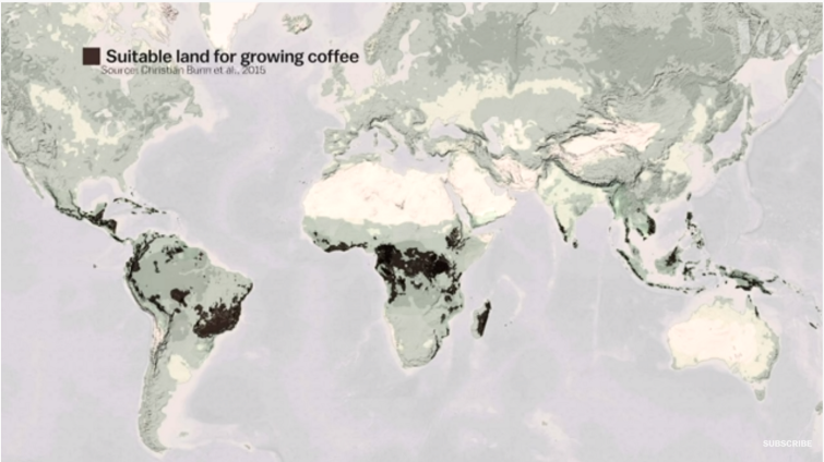 Suitable land for growing coffee